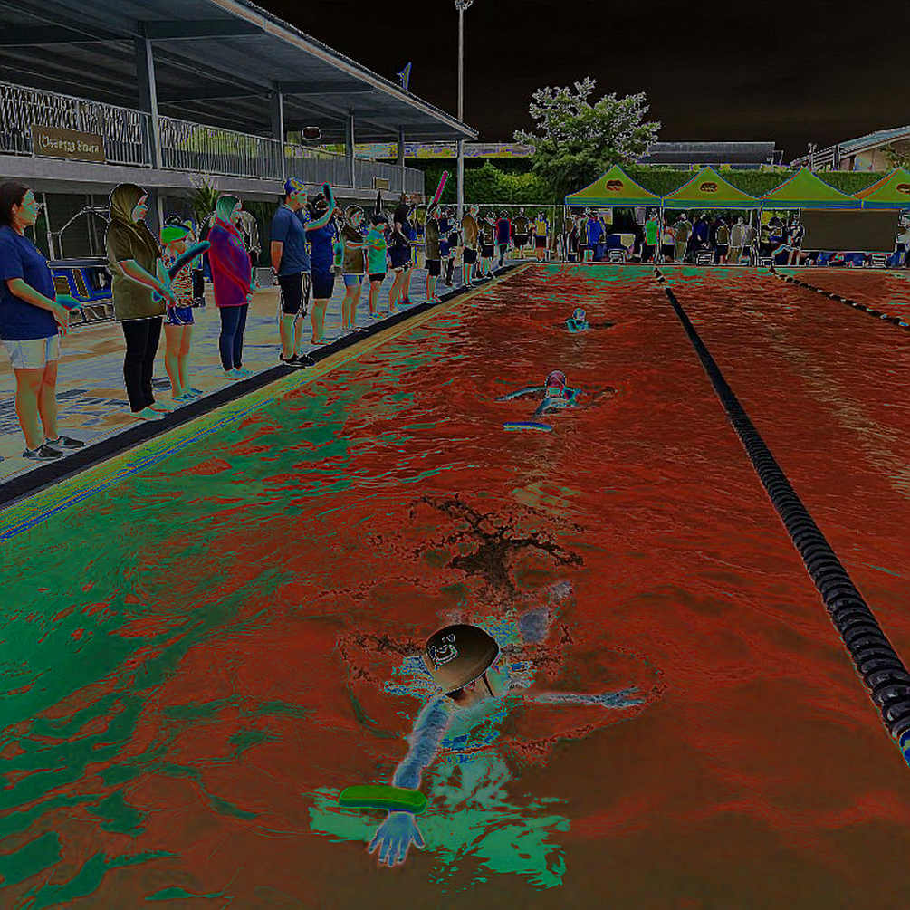 Kate Douglass and the 90-Minute Equation: When Recovery Data Rewrites Swimming History