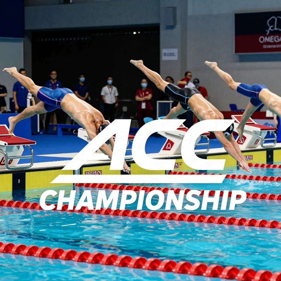 MacKenzie Lung bơi chung kết NCAA khi mang thai: bảng điểm không có ô trống cho thai kỳ