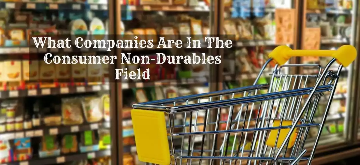 What Companies Are In The Consumer Non-Durables Field