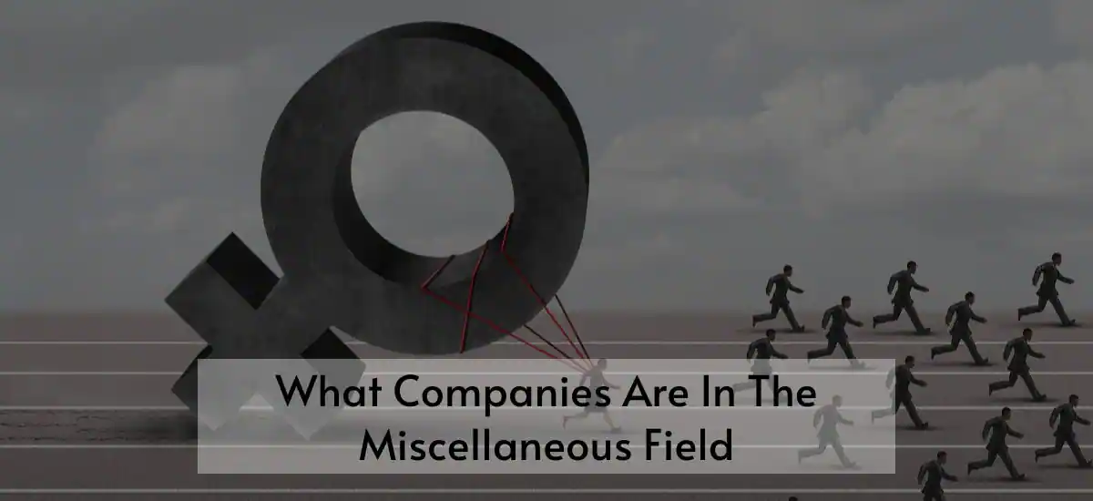 What Companies Are In The Miscellaneous Field